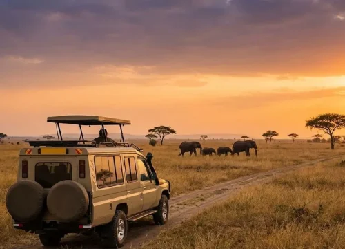 How Much Does a Uganda Safari Cost? (Honest 2025 Budget Guide)