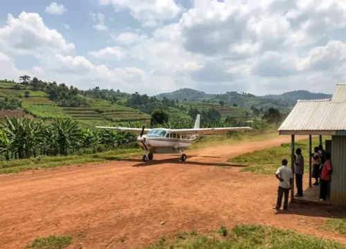 4-Day Luxury Fly-In Gorilla Safari Uganda