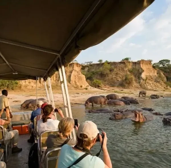 Kazinga Channel boat cruise wildlife safari Uganda