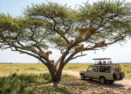 7-Day Uganda Highlights Safari: Gorillas & Big 5