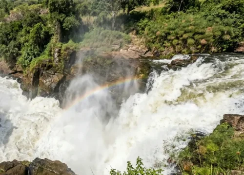 3-Day Murchison Falls & Big 5 Safari Uganda